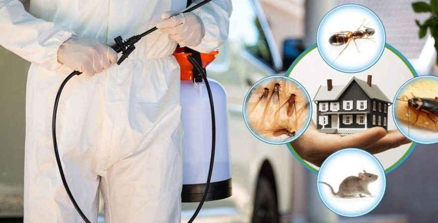 Ezine Böcek İlaçlama