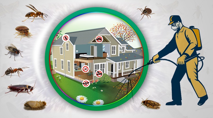 Ezine Böcek İlaçlama