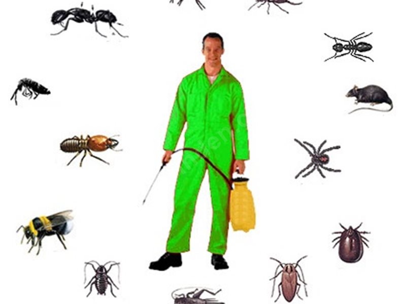 Ezine Böcek İlaçlama